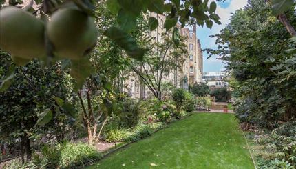 Communal garden 